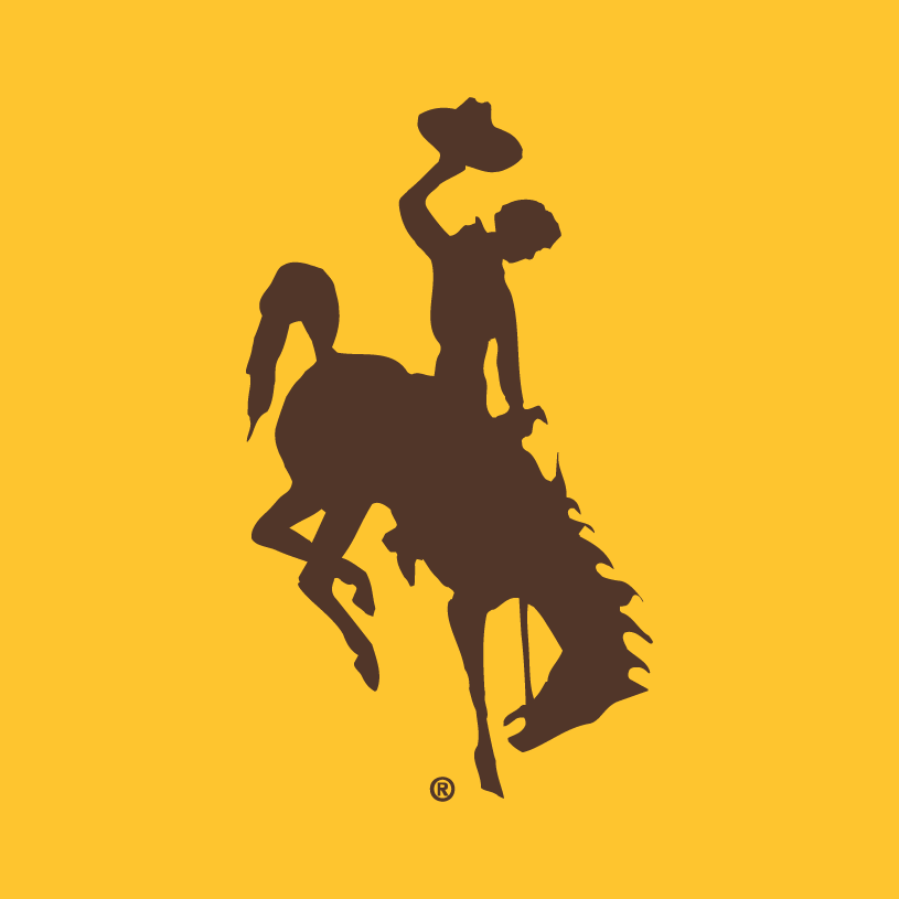 Wyoming Cowboys 2006-Pres Alternate Logo DIY iron on transfer (heat transfer)